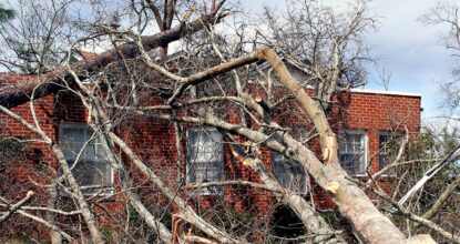 Damage to a property of the type found in Worthing, caused by a tree falling in a storm.