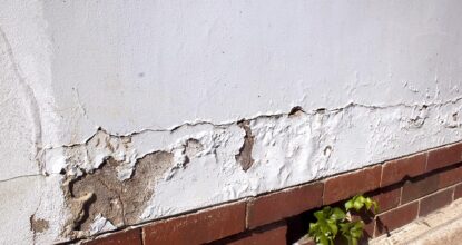 Rising damp on an exterior wall - not a common problem for Worthing properties, but any damp without an obvious cause should be investigated with a survey.