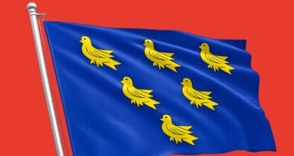 Sussex flag
