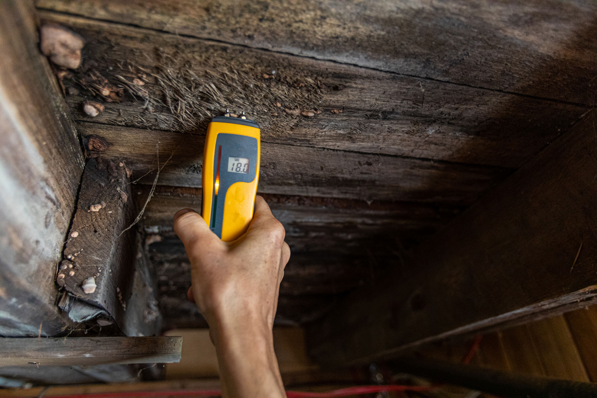 A surveyor holding a damp meter reader beneath some floorboards