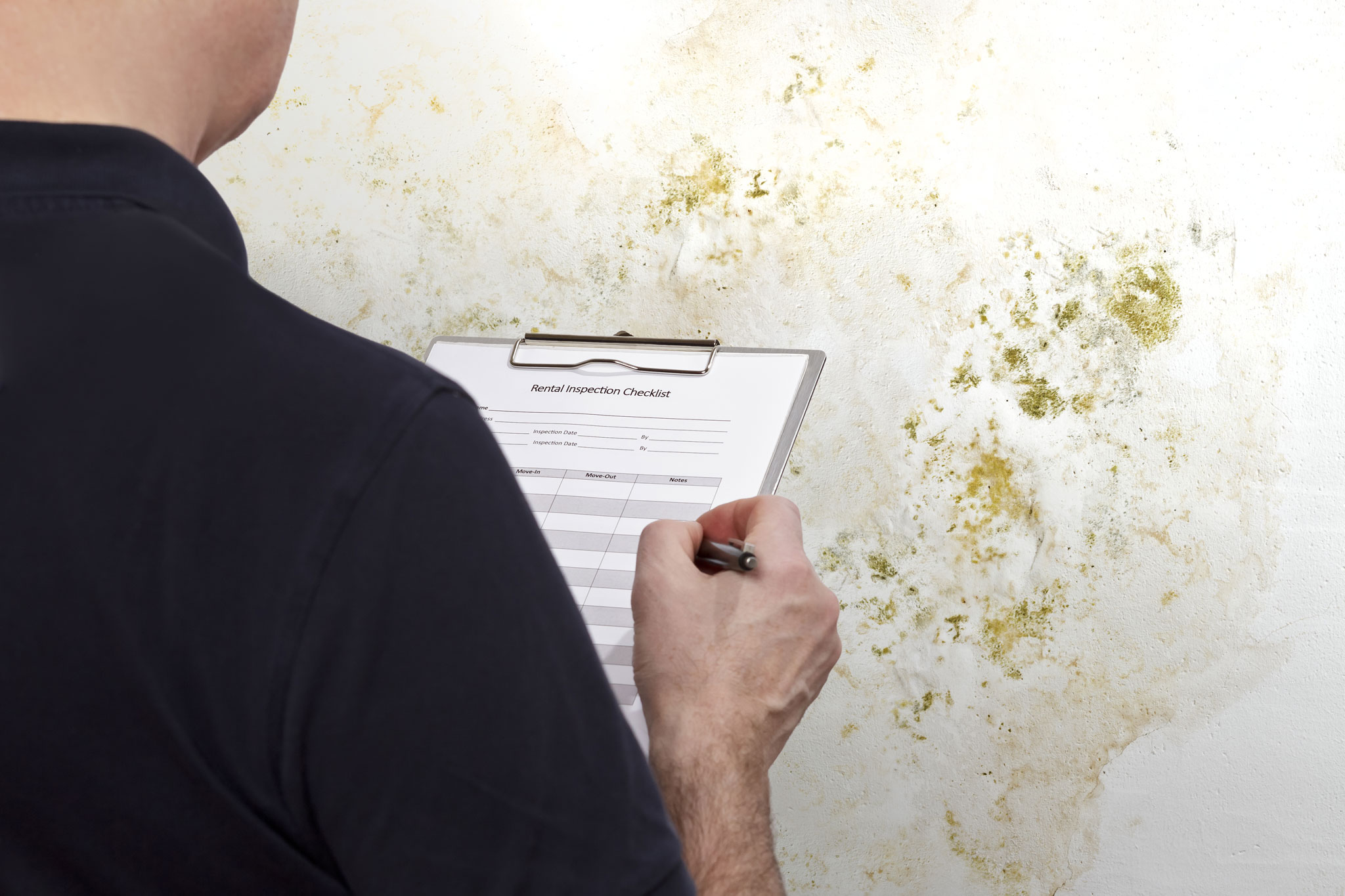 Damp surveyor inspecting a wall with visible signs of damp